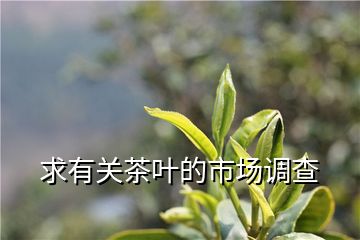 【茶葉市場】茶葉市場現(xiàn)狀解析：國內(nèi)外市場現(xiàn)況及發(fā)展趨勢分析插圖1