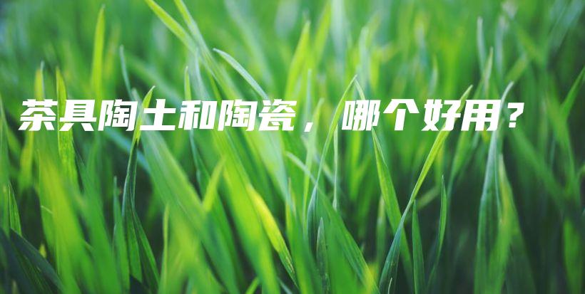 茶具陶土和陶瓷，哪個好用？插圖