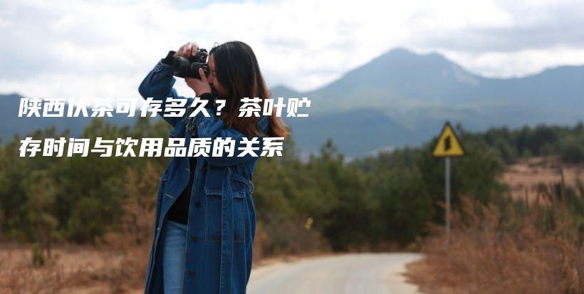 陜西伏茶可存多久？茶葉貯存時(shí)間與飲用品質(zhì)的關(guān)系插圖