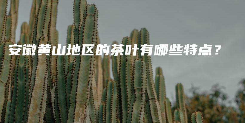 安徽黃山地區(qū)的茶葉有哪些特點？插圖