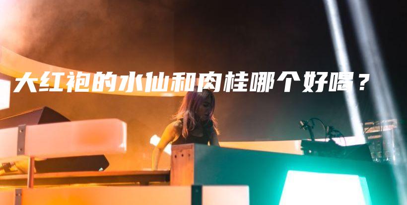 大紅袍的水仙和肉桂哪個(gè)好喝？插圖