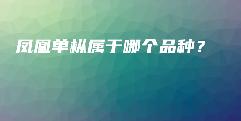 鳳凰單樅屬于哪個品種？插圖