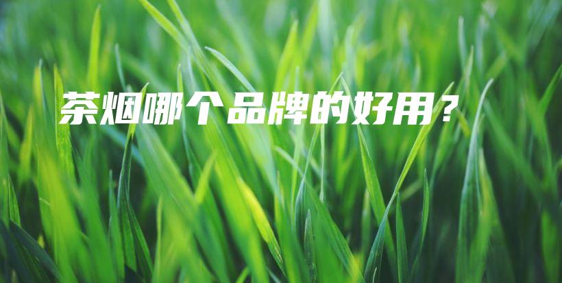 茶煙哪個(gè)品牌的好用？插圖