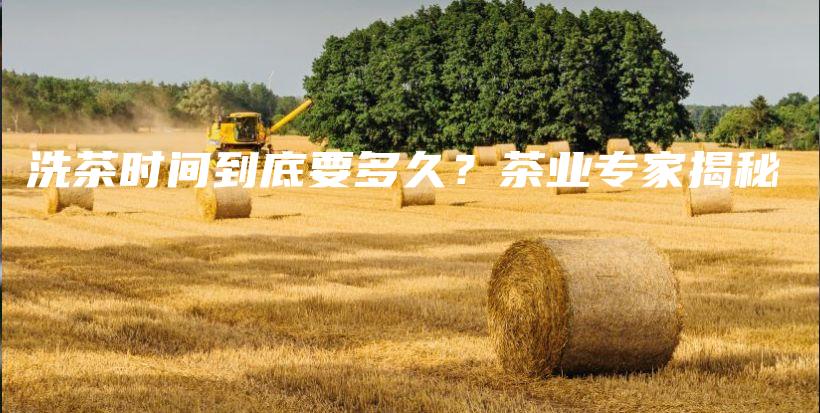 洗茶時間到底要多久？茶業(yè)專家揭秘插圖