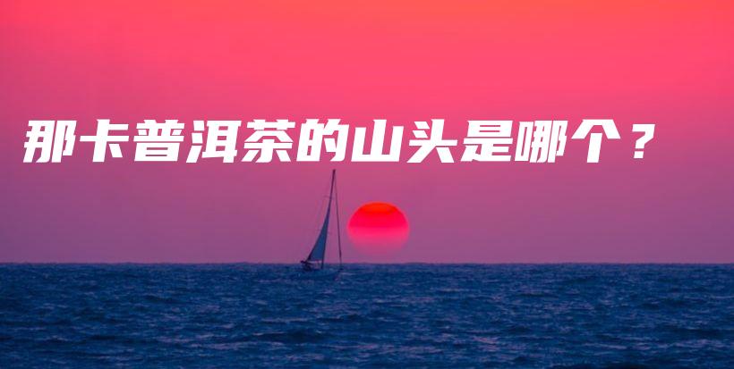 那卡普洱茶的山頭是哪個(gè)？插圖