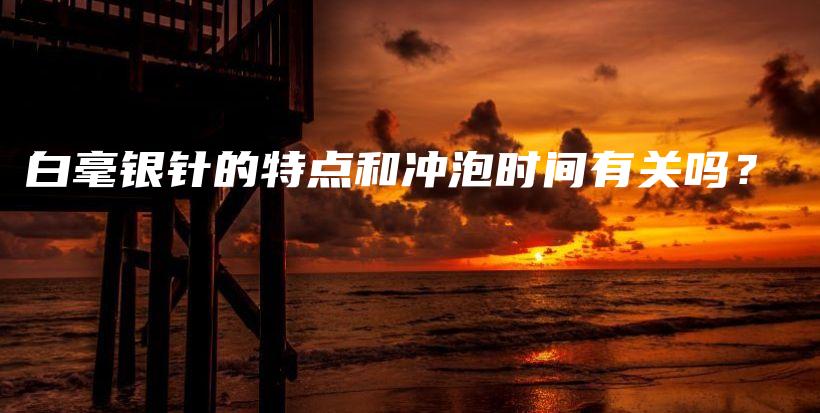 白毫銀針的特點和沖泡時間有關(guān)嗎？插圖