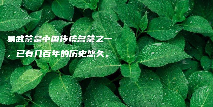 易武茶是中國傳統(tǒng)名茶之一，已有幾百年的歷史悠久。插圖