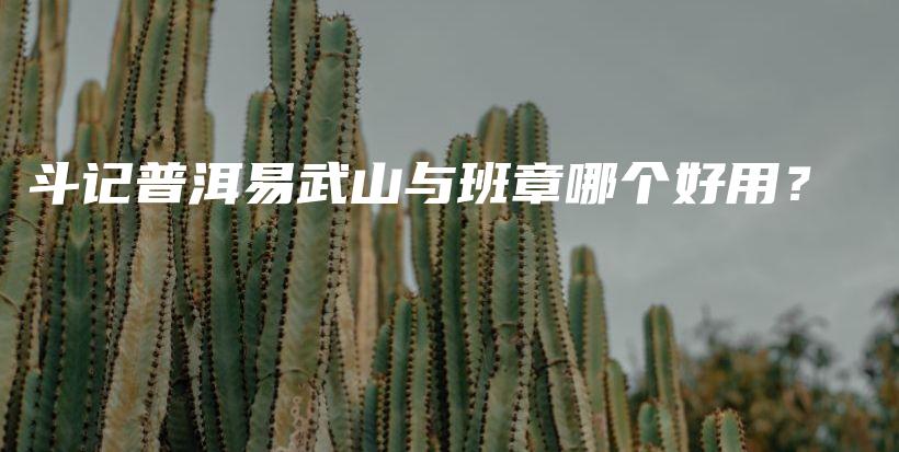 斗記普洱易武山與班章哪個好用？插圖