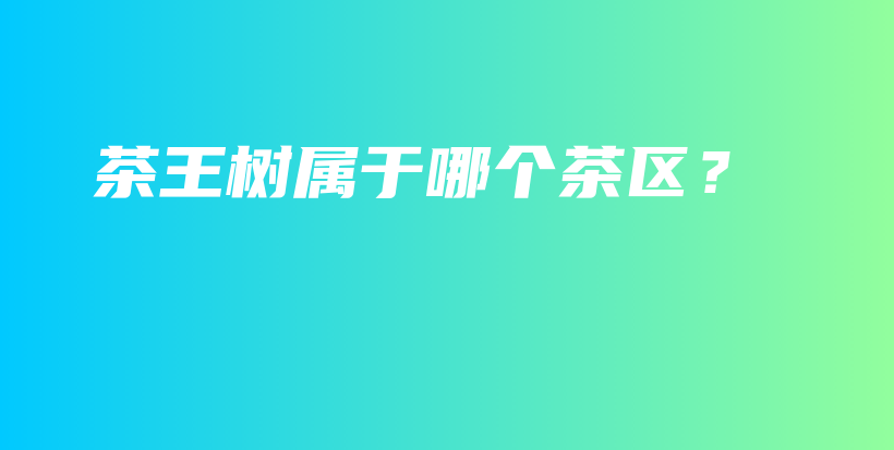 茶王樹屬于哪個(gè)茶區(qū)？插圖