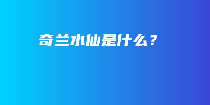 奇蘭水仙是什么？插圖