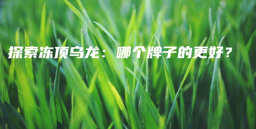 探索凍頂烏龍：哪個牌子的更好？插圖