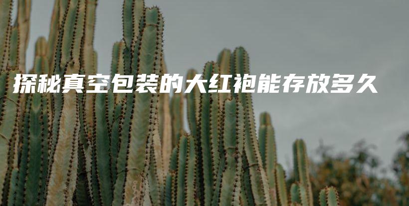 探秘真空包裝的大紅袍能存放多久插圖