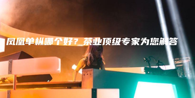 鳳凰單樅哪個好？茶業(yè)頂級專家為您解答插圖
