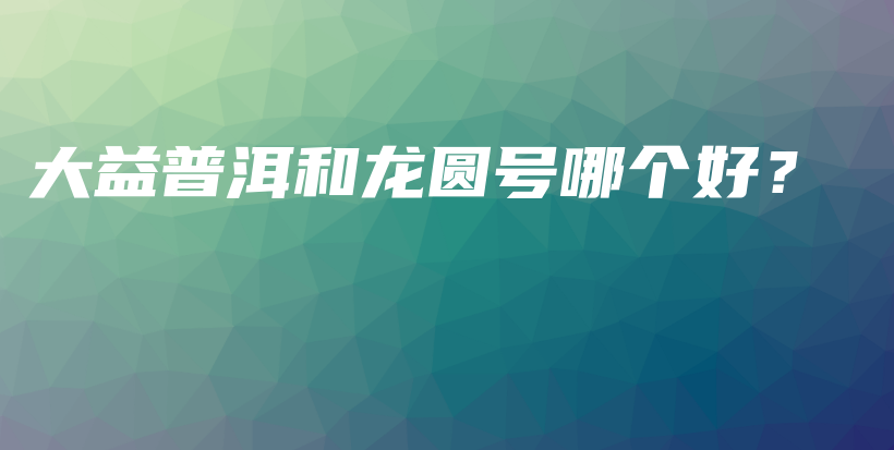 大益普洱和龍圓號哪個好？插圖