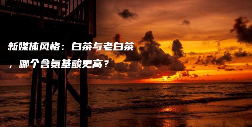 新媒體風(fēng)格：白茶與老白茶，哪個(gè)含氨基酸更高？插圖