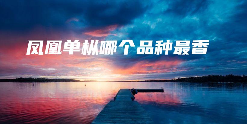 鳳凰單樅哪個(gè)品種最香插圖