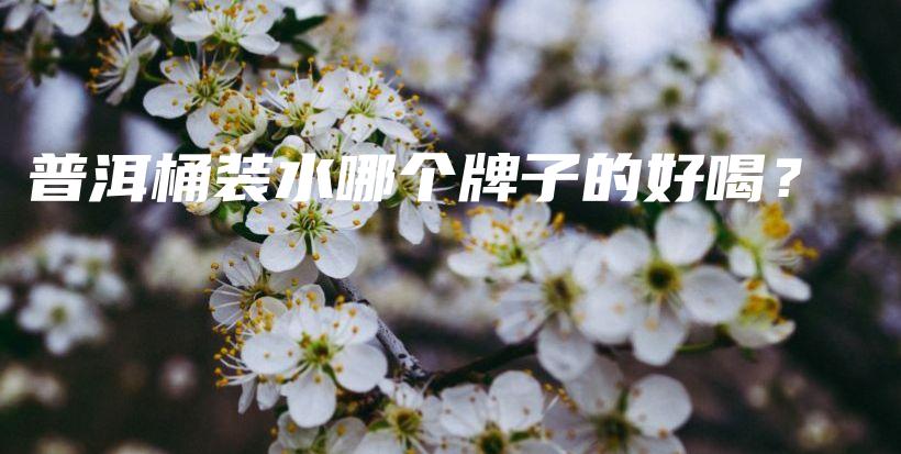 普洱桶裝水哪個牌子的好喝？插圖