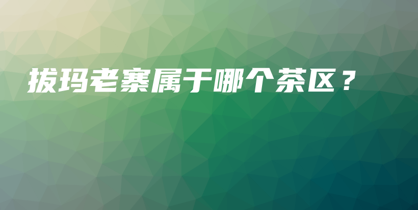 拔瑪老寨屬于哪個(gè)茶區(qū)？插圖