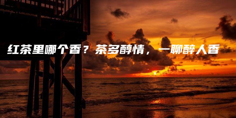 紅茶里哪個香？茶多醇情，一聊醉人香插圖