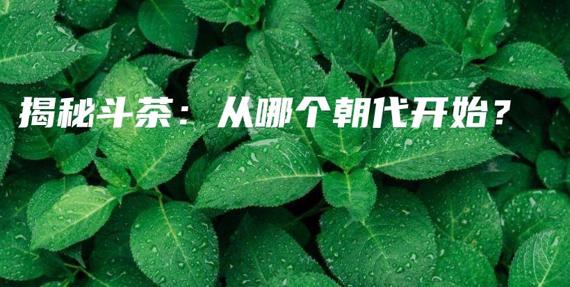揭秘斗茶：從哪個朝代開始？插圖