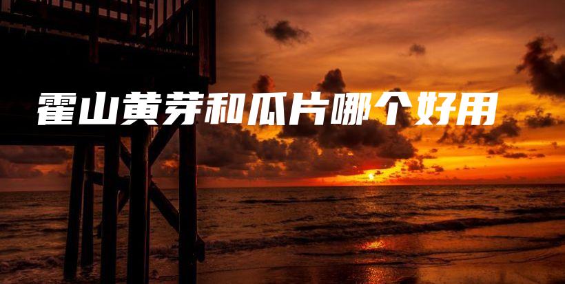 霍山黃芽和瓜片哪個(gè)好用插圖