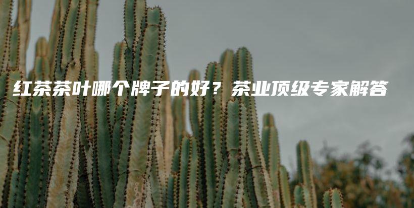 紅茶茶葉哪個(gè)牌子的好？茶業(yè)頂級專家解答插圖