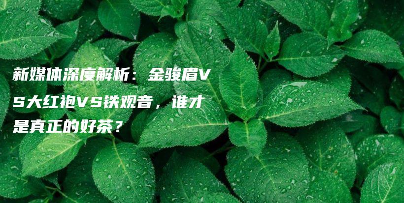 新媒體深度解析：金駿眉VS大紅袍VS鐵觀音，誰(shuí)才是真正的好茶？插圖