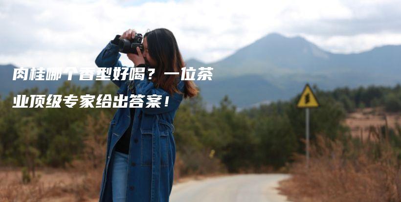 肉桂哪個香型好喝？一位茶業(yè)頂級專家給出答案！插圖