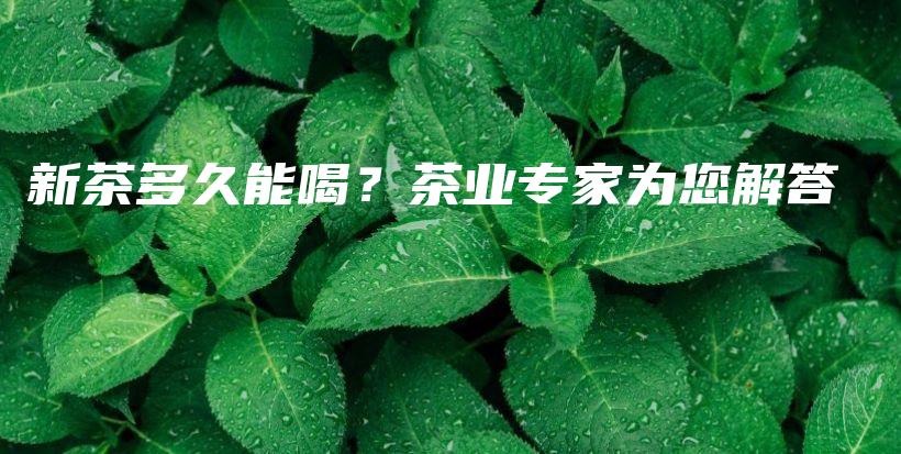 新茶多久能喝？茶業(yè)專(zhuān)家為您解答插圖