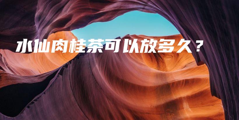 水仙肉桂茶可以放多久？插圖