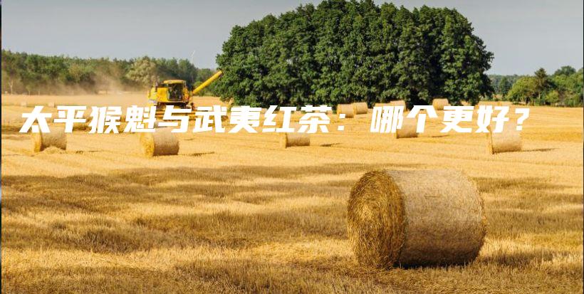 太平猴魁與武夷紅茶：哪個更好？插圖