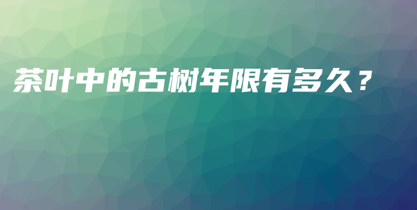 茶葉中的古樹年限有多久？插圖