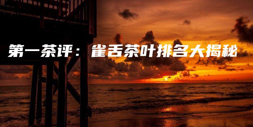 第一茶評：雀舌茶葉排名大揭秘插圖