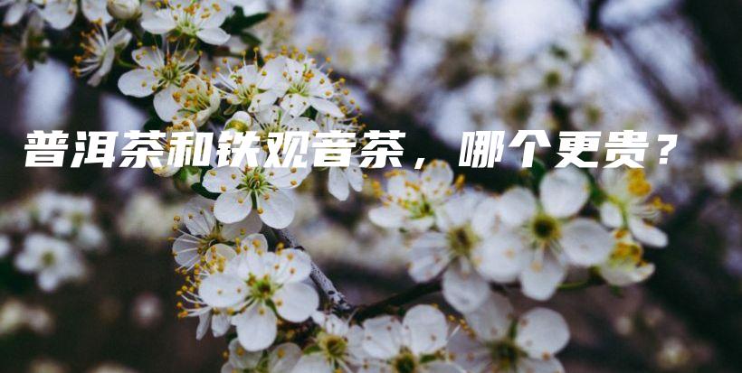 普洱茶和鐵觀音茶，哪個(gè)更貴？插圖