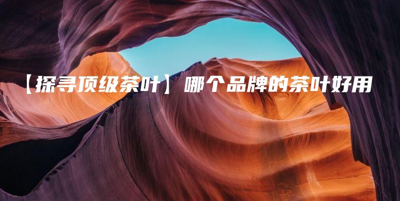【探尋頂級(jí)茶葉】哪個(gè)品牌的茶葉好用插圖