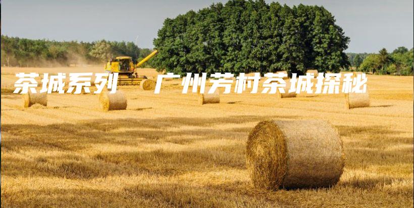 茶城系列  廣州芳村茶城探秘插圖
