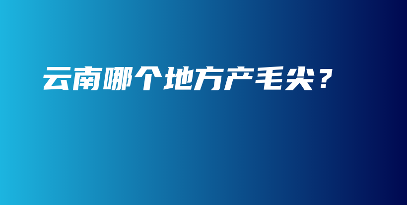 云南哪個地方產(chǎn)毛尖？插圖