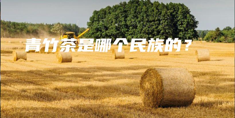 青竹茶是哪個(gè)民族的？插圖