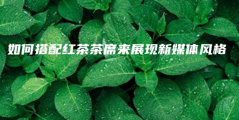 如何搭配紅茶茶席來展現(xiàn)新媒體風(fēng)格插圖