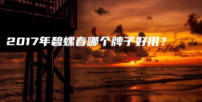 2017年碧螺春哪個牌子好用？插圖