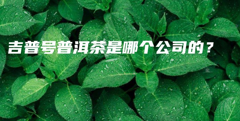 吉普號(hào)普洱茶是哪個(gè)公司的？插圖