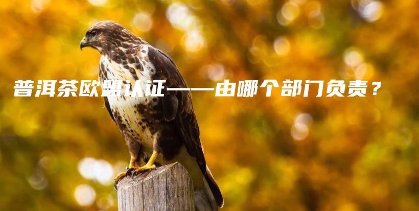普洱茶歐盟認證——由哪個部門負責？插圖