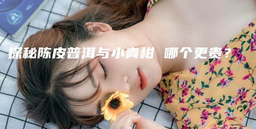 探秘陳皮普洱與小青柑 哪個(gè)更貴？插圖