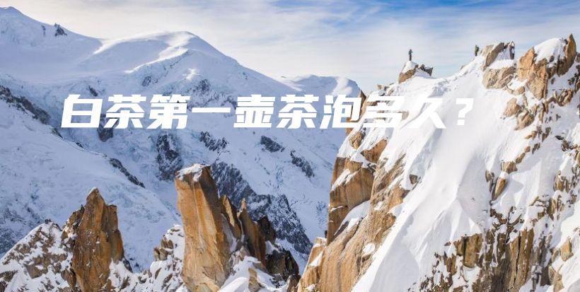 白茶第一壺茶泡多久？插圖
