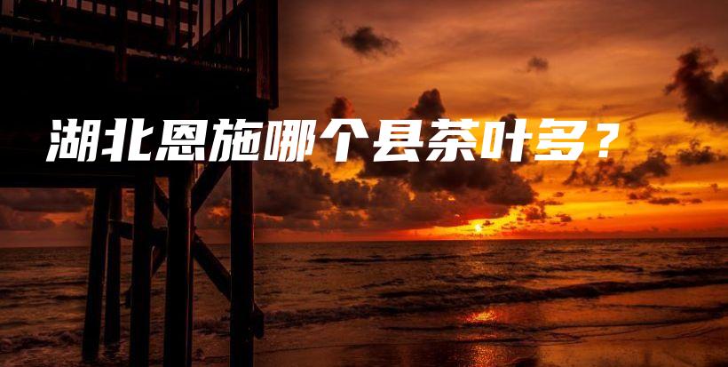 湖北恩施哪個(gè)縣茶葉多？插圖