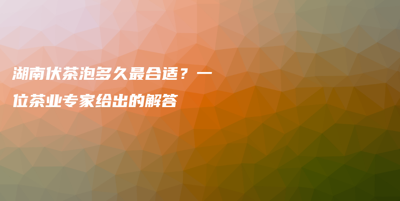 湖南伏茶泡多久最合適？一位茶業(yè)專家給出的解答插圖