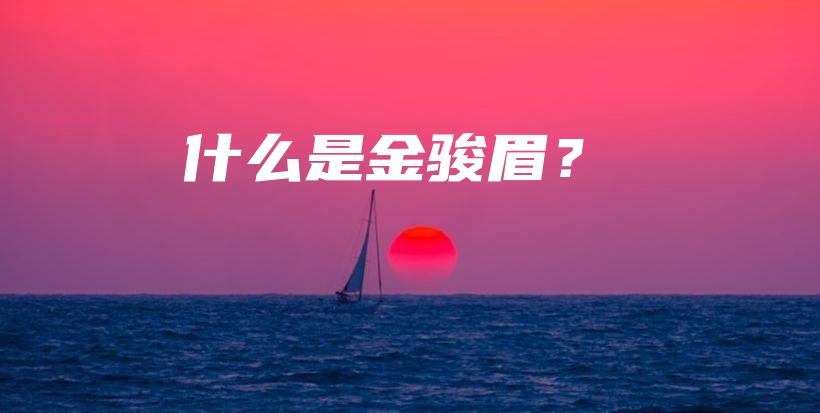 什么是金駿眉？插圖