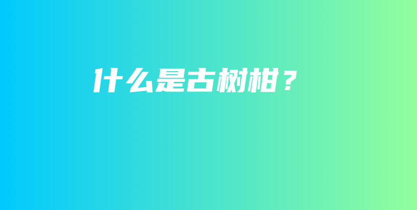 什么是古樹柑？插圖