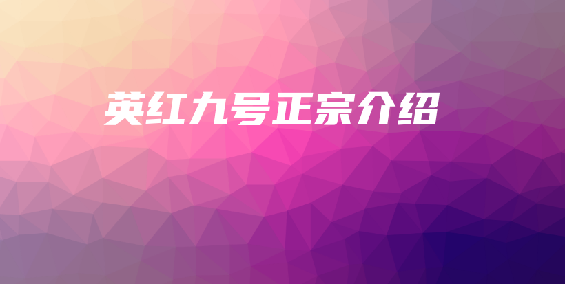 英紅九號(hào)正宗介紹插圖