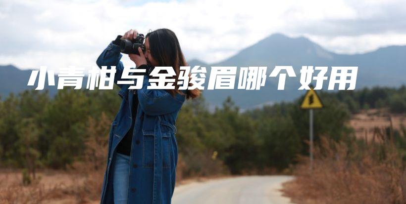 小青柑與金駿眉哪個(gè)好用插圖